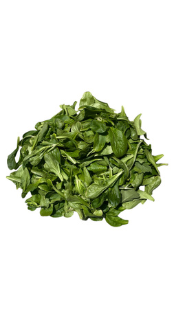 Ekologiczna Roszponka Bez Chemii